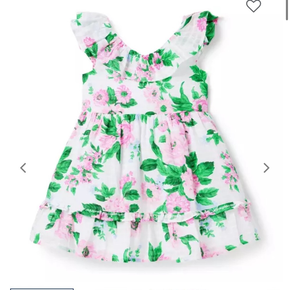 Janie and Jack Floral Dress with Pink and Green Accents 12-18m